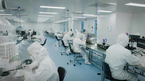 北芯生命遞交招股書 擬募資12.74億元，加速新材料技術(shù)研發(fā)與產(chǎn)業(yè)化進(jìn)程