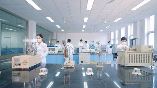 山東高速建材集團(tuán)路用新材料公司以科技創(chuàng)新驅(qū)動(dòng)發(fā)展，深耕新材料技術(shù)研發(fā)