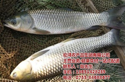 糧油飄香 從一粒谷到百味生活